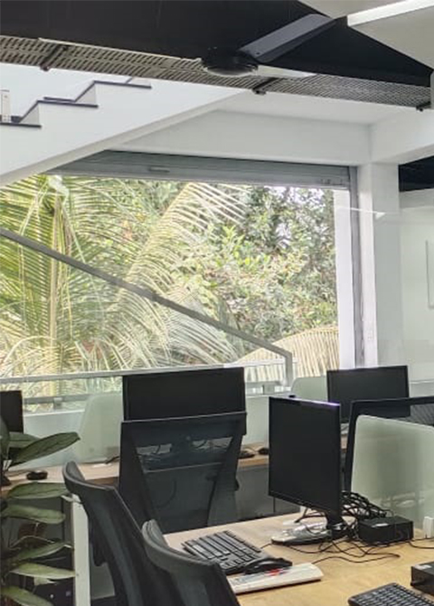 Web Development Agency Thrissur