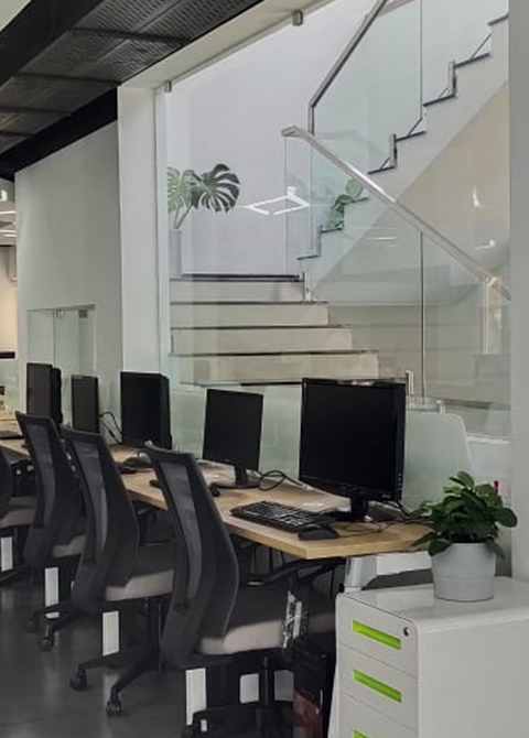 Web Development Agency Thrissur